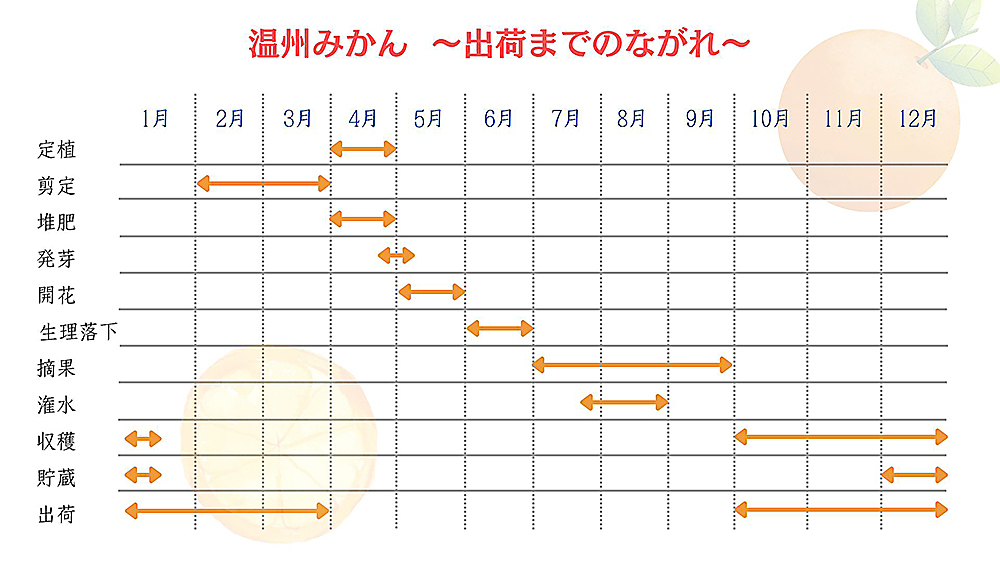 出荷までのながれ