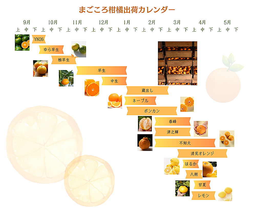 柑橘カレンダー