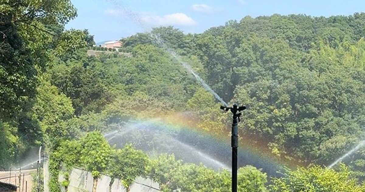 共同灌水の様子