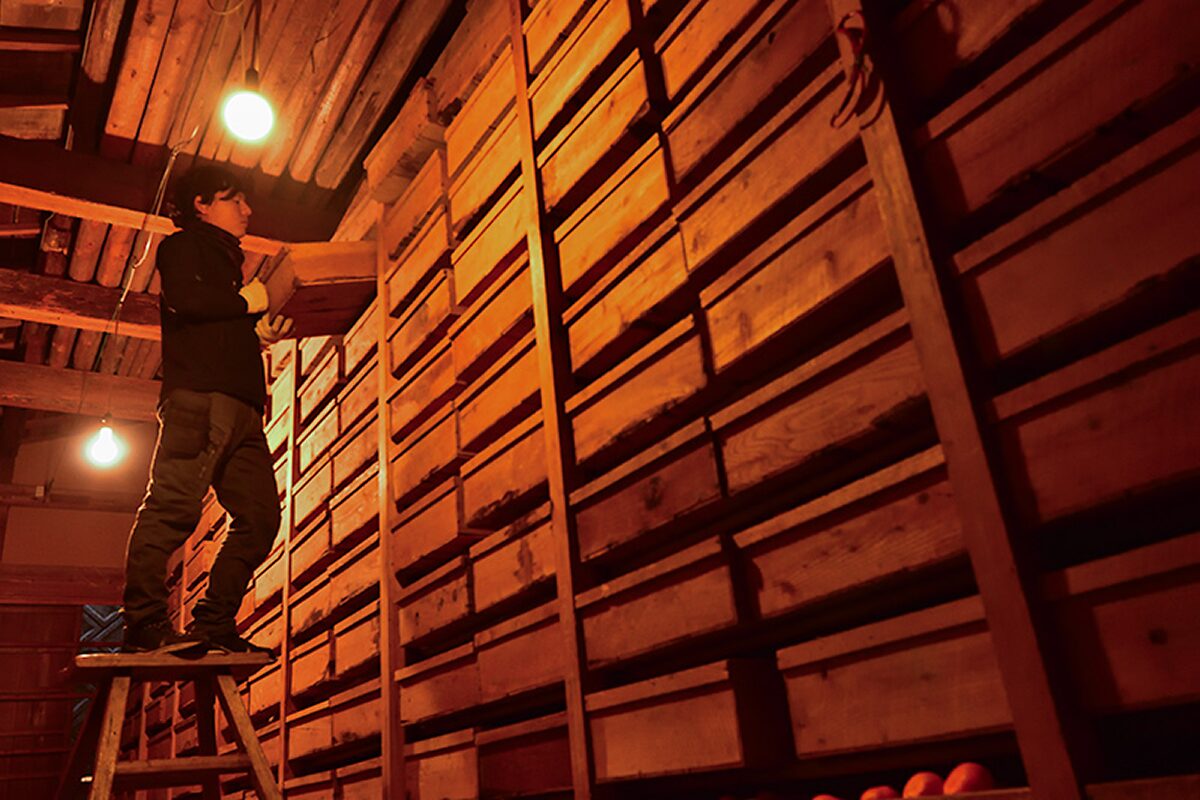 蔵にみかんを貯蔵している様子