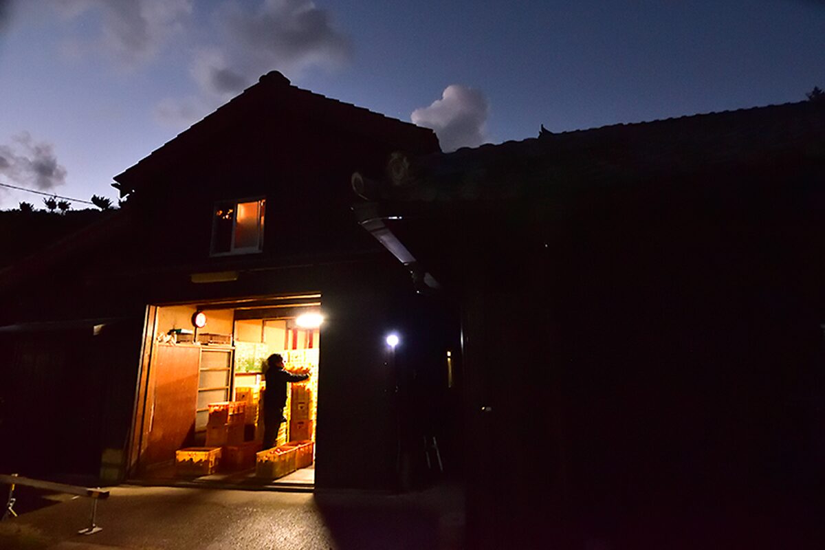 蔵を外から見た様子