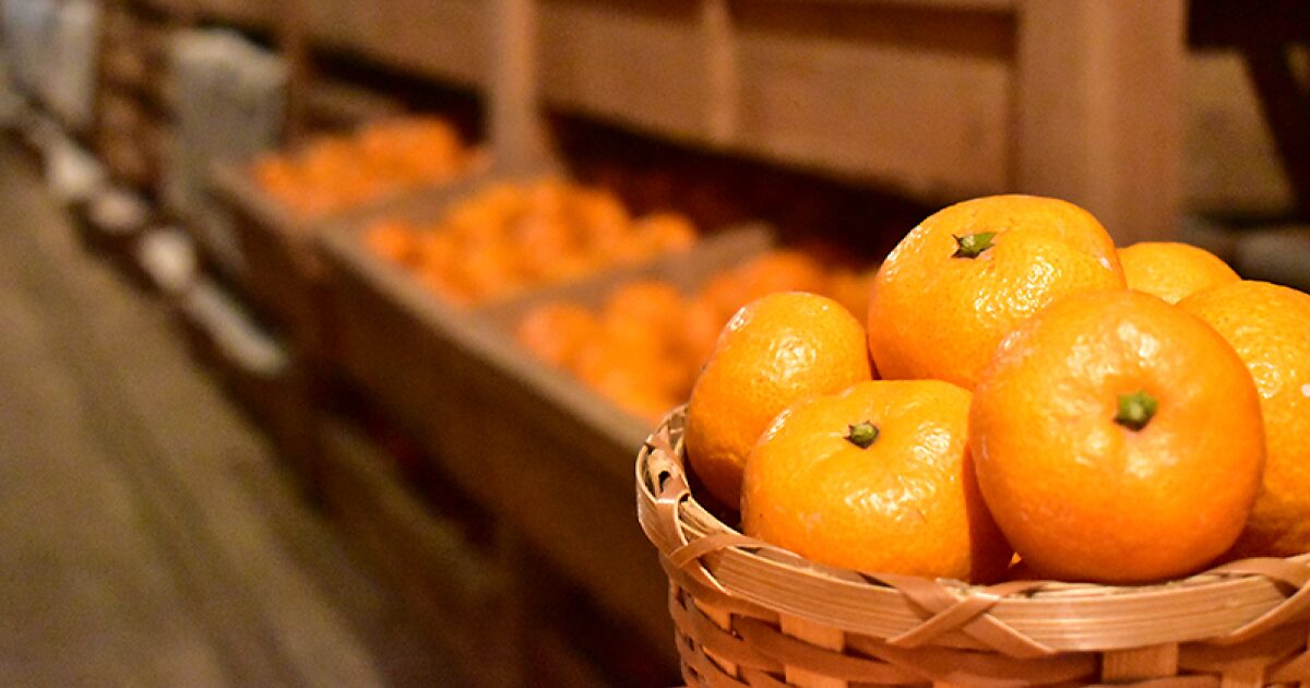 まごころ産直みかんの蔵出しみかん