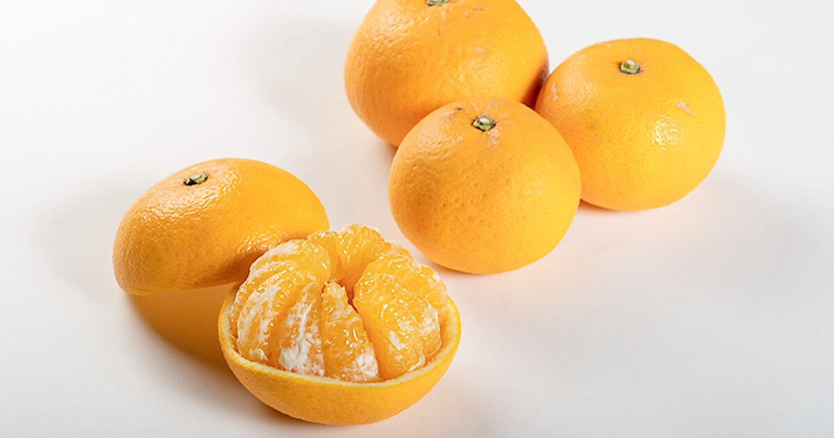まごころ産直みかんの甘夏(サンフルーツ)