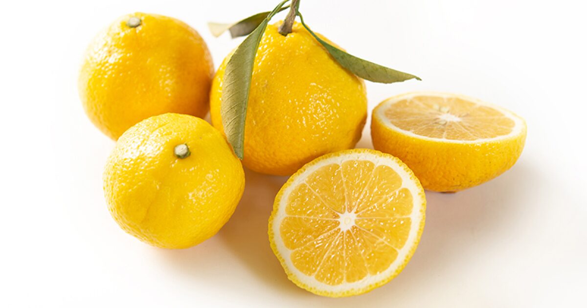 まごころ産直みかんのはるかみかん