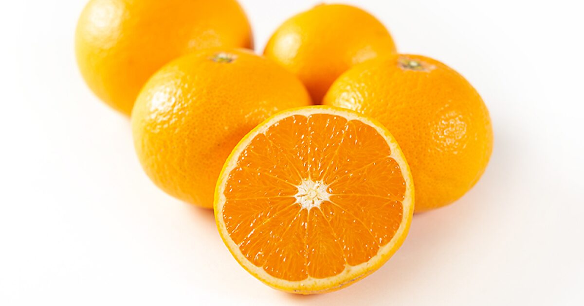 まごころ産直みかんの清見オレンジ