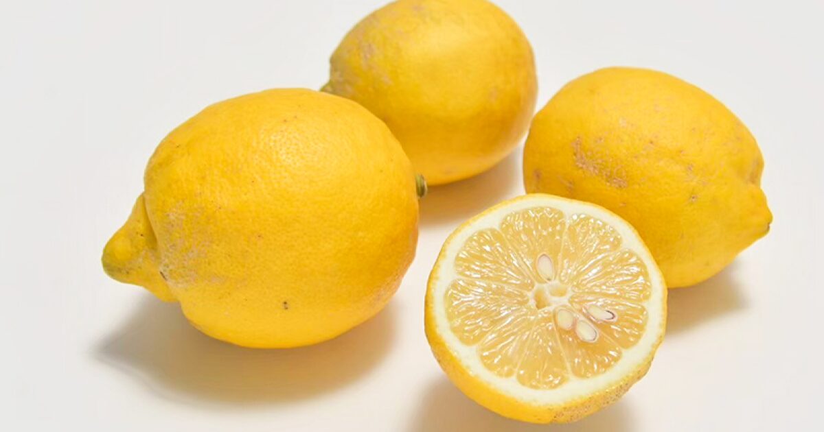 まごころ産直みかんのレモン