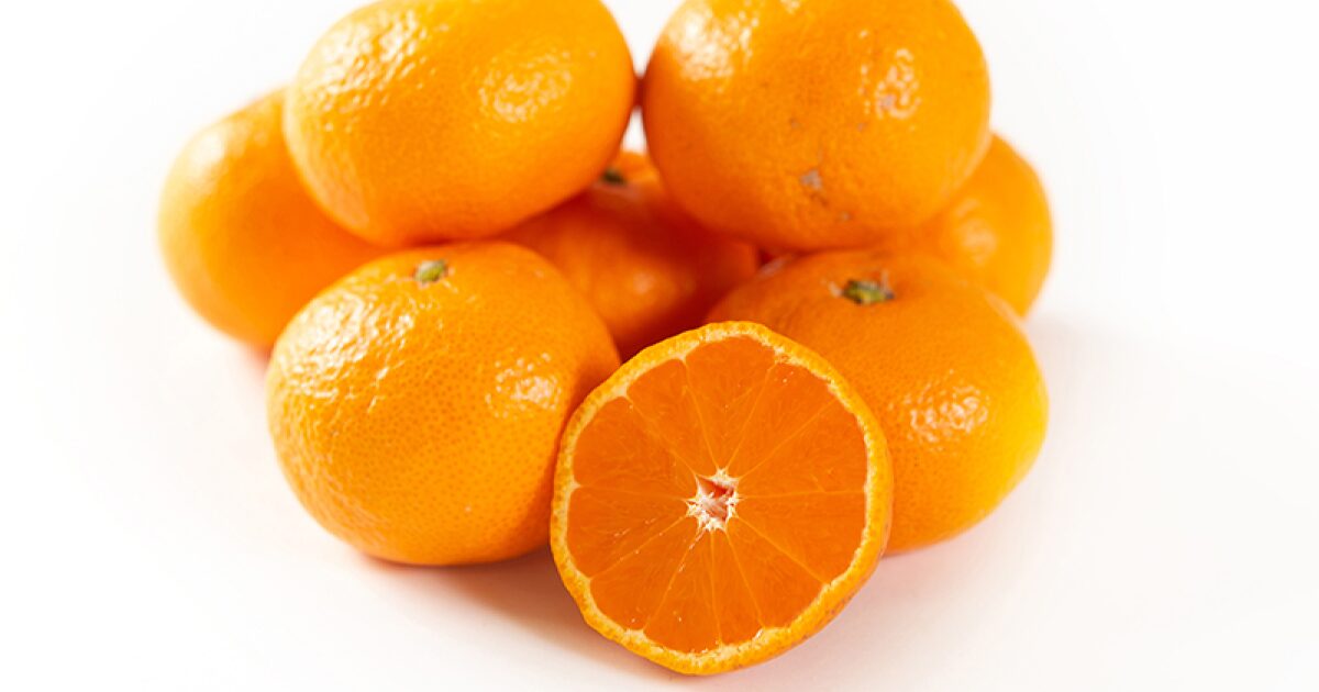 まごころ産直みかんの中生みかん