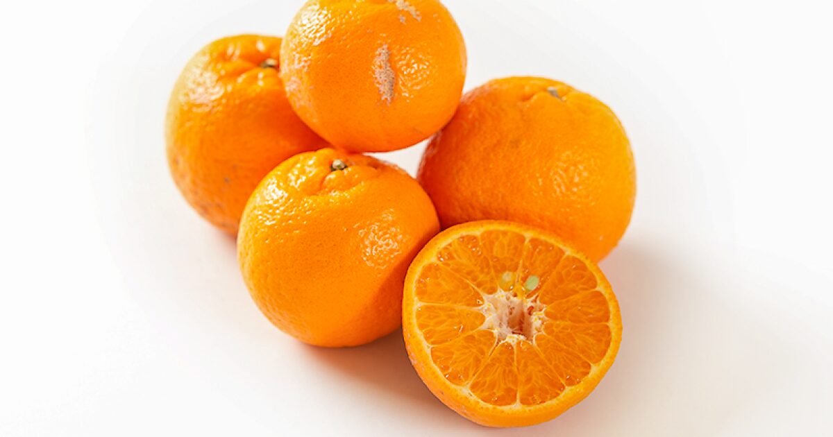 まごころ産直みかんのぽんかん