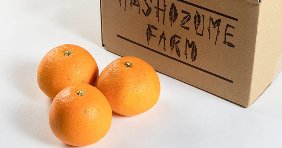 まごころ産直みかんの春峰みかん