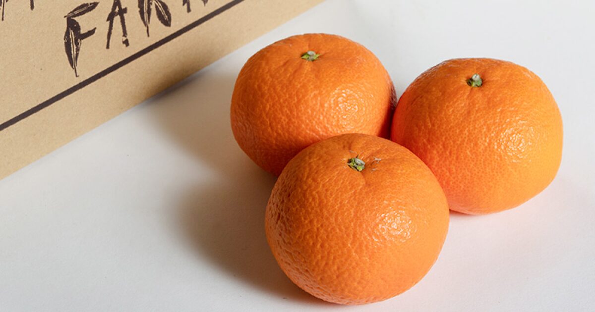 まごころ産直みかんの津之輝みかん