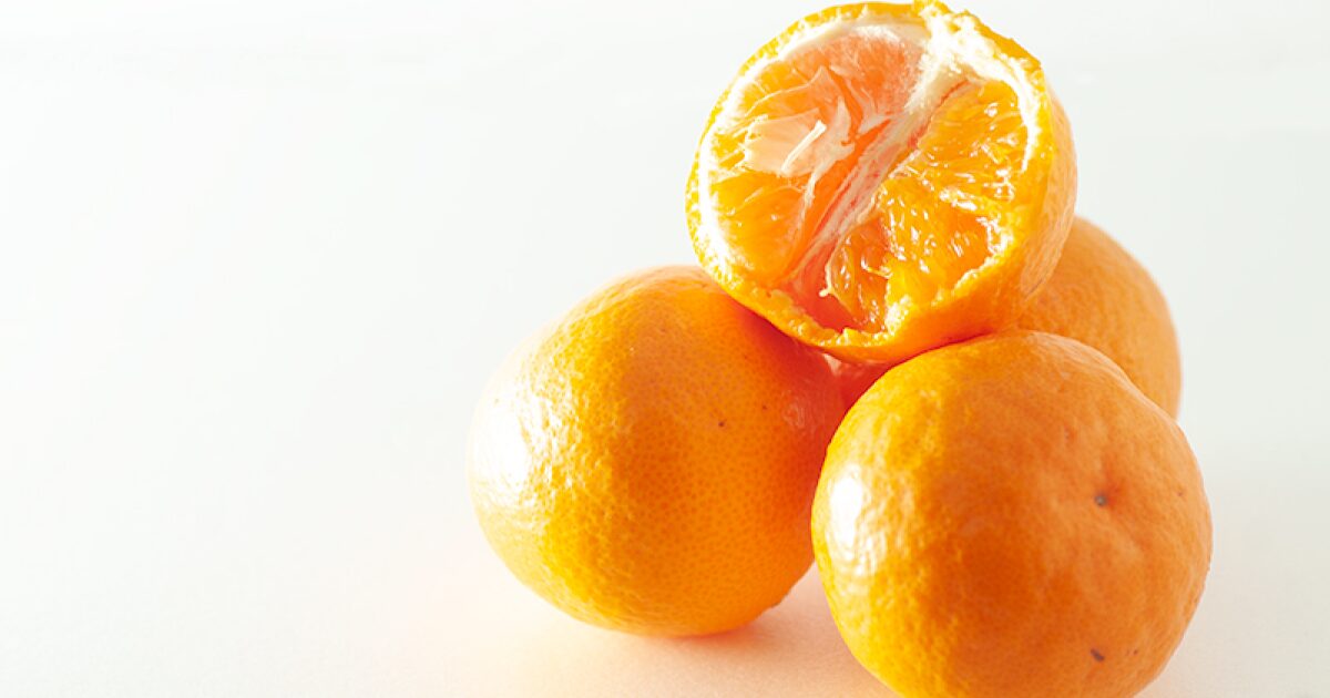 まごころ産直みかんのゆら早生みかん